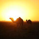 GEO Leserfoto: Die besten Leserfotos: März 2016 - Bild 18