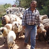 Kurz-, Städte- und Geniesserreisen