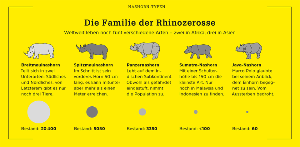 Nashorn-Arten - [GEO]