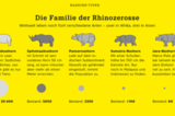 Nashorn-Arten