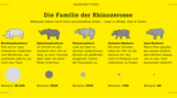 Nashorn-Arten