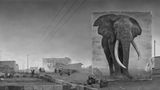 Elefant
