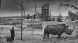 Nashorn