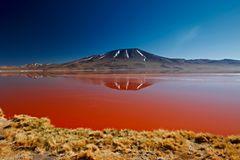 Laguna Colorada, Bolivien