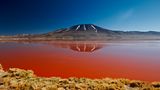 Laguna Colorada, Bolivien