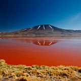 Laguna Colorada, Bolivien