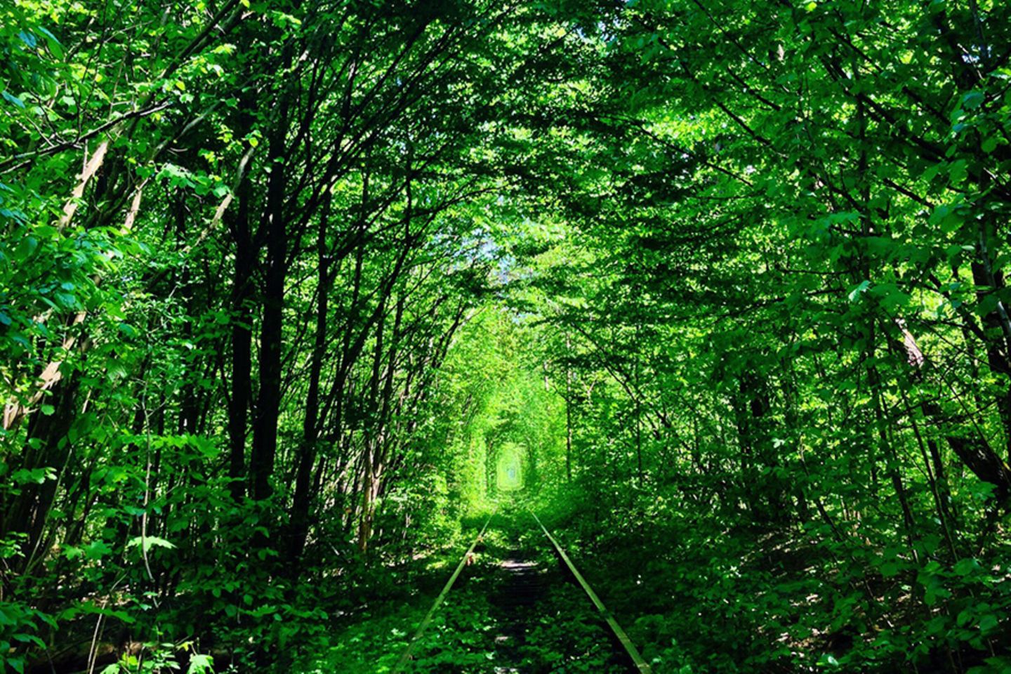 Klewan, Ukraine