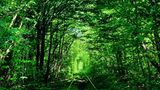 Klewan, Ukraine