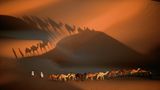 Yann Arthus-Bertrand
