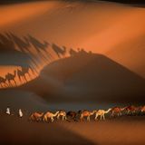 Yann Arthus-Bertrand