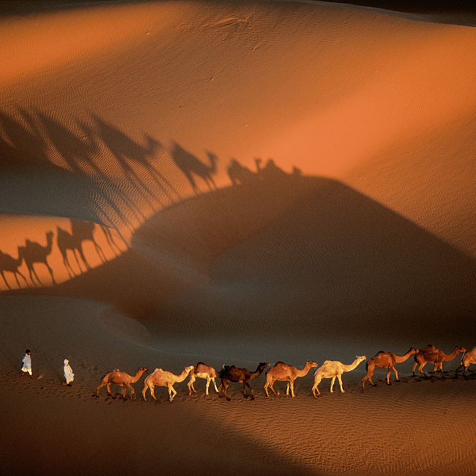 Yann Arthus-Bertrand Yann Arthus-Bertrand