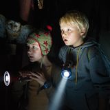 Kino: Filmtipp: Rico, Oskar und der Diebstahlstein