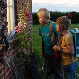 Kino: Filmtipp: Rico, Oskar und der Diebstahlstein - Bild 8