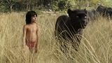 Kino: Filmtipp: The Jungle Book