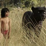 Kino: Filmtipp: The Jungle Book