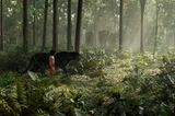 Kino: Filmtipp: The Jungle Book - Bild 5