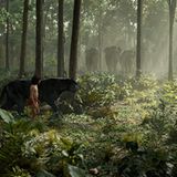 Kino: Filmtipp: The Jungle Book - Bild 5