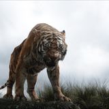 Kino: Filmtipp: The Jungle Book - Bild 6