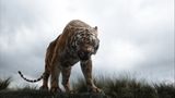 Kino: Filmtipp: The Jungle Book - Bild 6