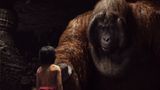 Kino: Filmtipp: The Jungle Book - Bild 8