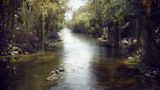 Kino: Filmtipp: The Jungle Book - Bild 11