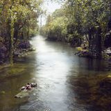 Kino: Filmtipp: The Jungle Book - Bild 11