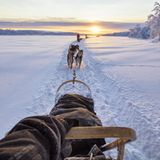 Entdeckungen per Hundeschlitten