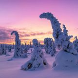 Riisitunturi National Park