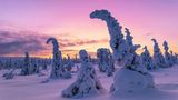 Riisitunturi National Park