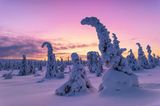 Riisitunturi National Park