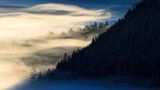 Frühnebel