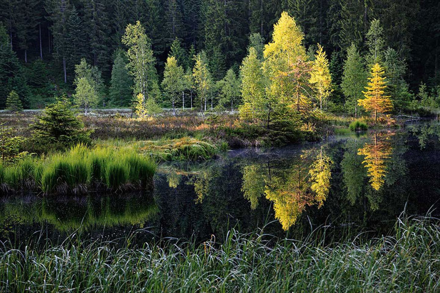 Buhlbachsee