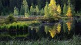 Buhlbachsee