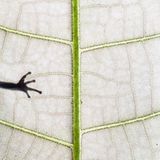 1. Platz, Atelier Natur