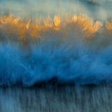 1. Platz, Sonderkategorie Naturgewalten