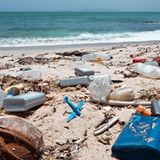 Strände aufräumen