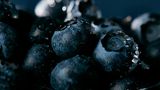 Heidelbeere: Wundersames Blau