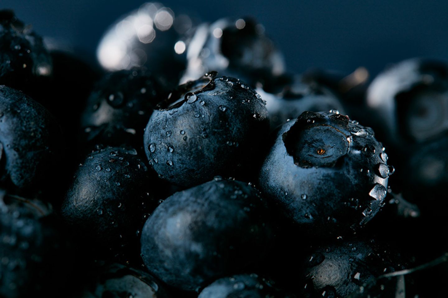 Heidelbeere: Wundersames Blau