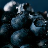 Heidelbeere: Wundersames Blau