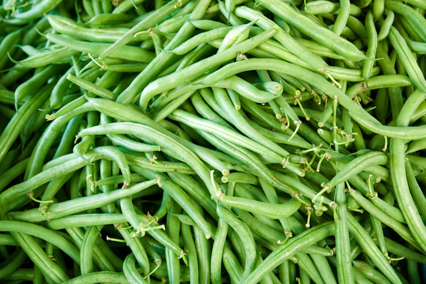 Vitamin B6 (Pyridoxin) Vitamin B6 (Pyridoxin)