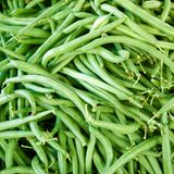 Vitamin B6 (Pyridoxin)