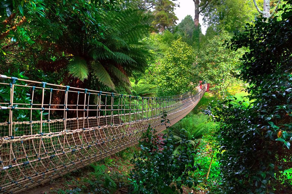 The Lost Gardens of Heligan, Cornwall [GEO]