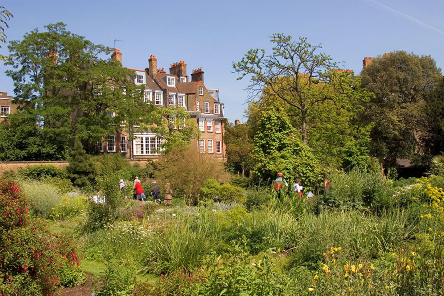 Chelsea Physic Garden, London