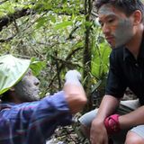 Lassen Sie sich von der Vielfalt bereichern