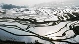 Februar 2001 Februar 2001