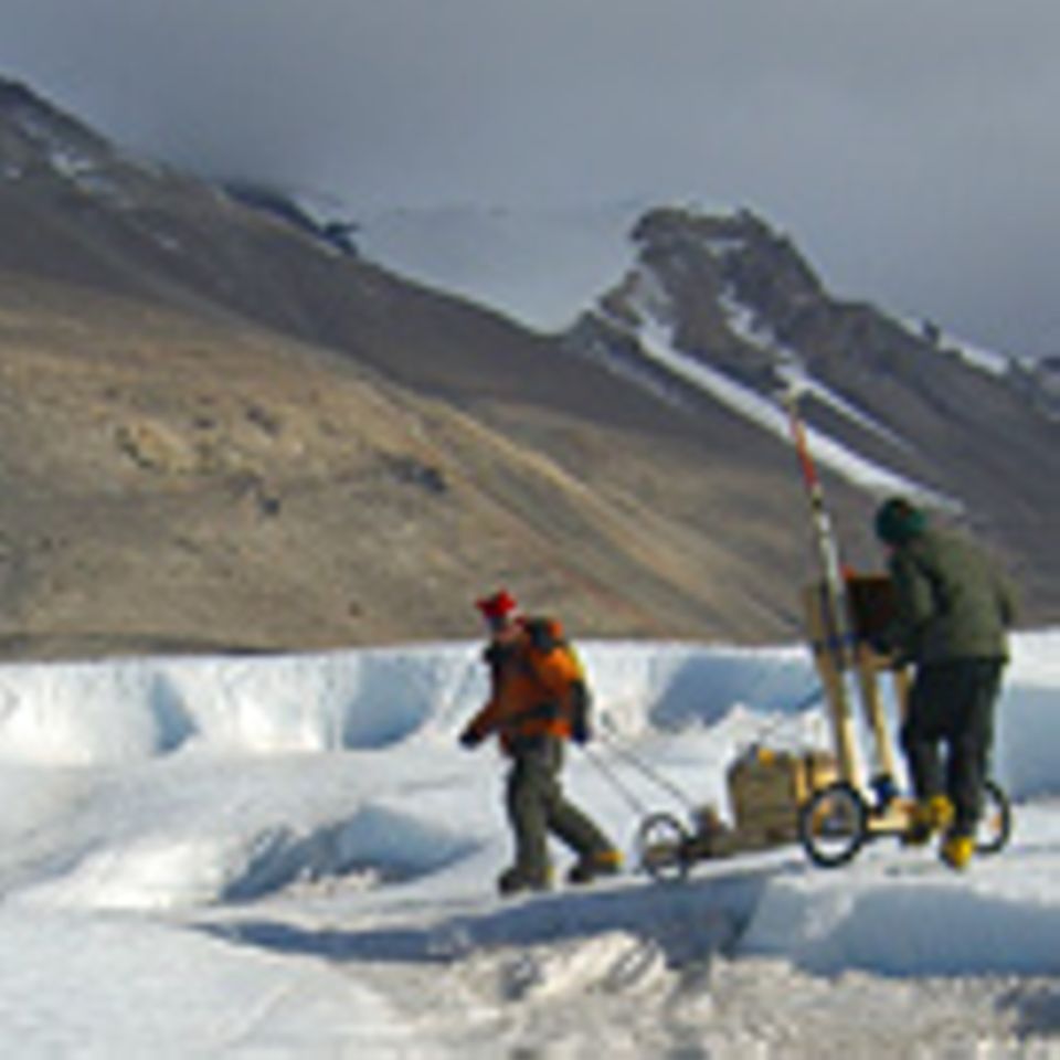 Zeitreise zum biologischen Urknall