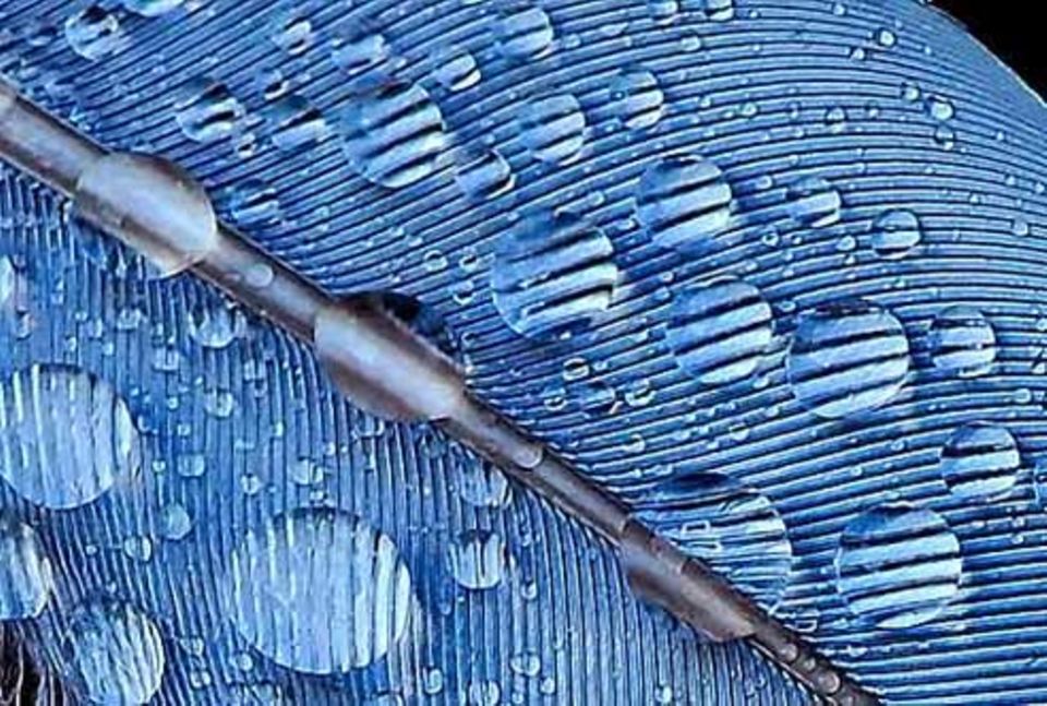 Schiebepuzzle: Nr. 109: Wasserperlen Schiebepuzzle: Nr. 109: Wasserperlen