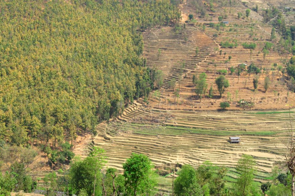 Nepal: Typischer Anblick in den Middle Mountains: Die Ausweitung der Ackerflächen führt zu starkem Waldschwund