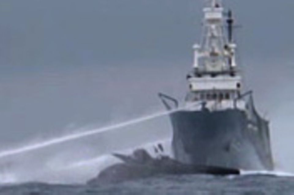 Walfänger gegen Aktivisten: Krieg auf dem Meer