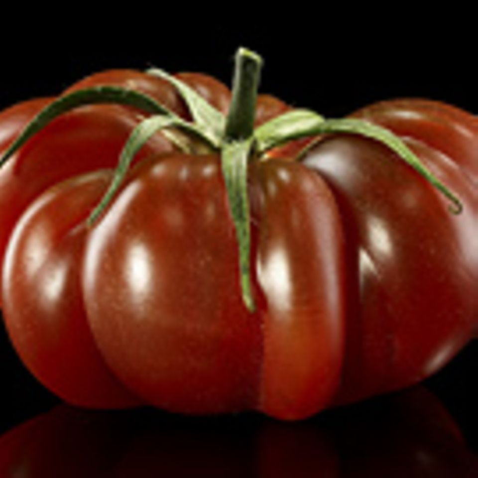 Kuriose Wissenschaft: Angriff der Killertomate